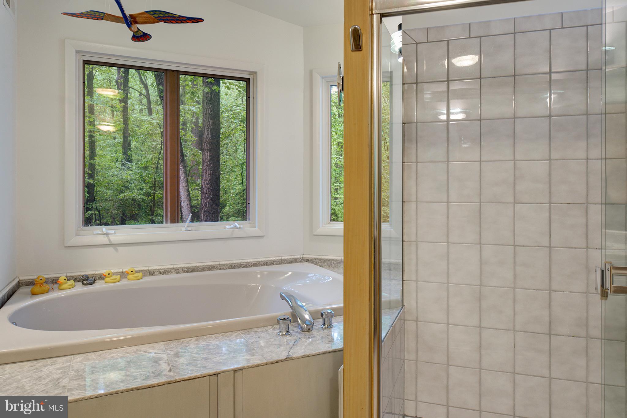 12010 Aintree Lane Reston, VA 20191 - Photo 17 of 28 Double jacuzzi overlooking woods!