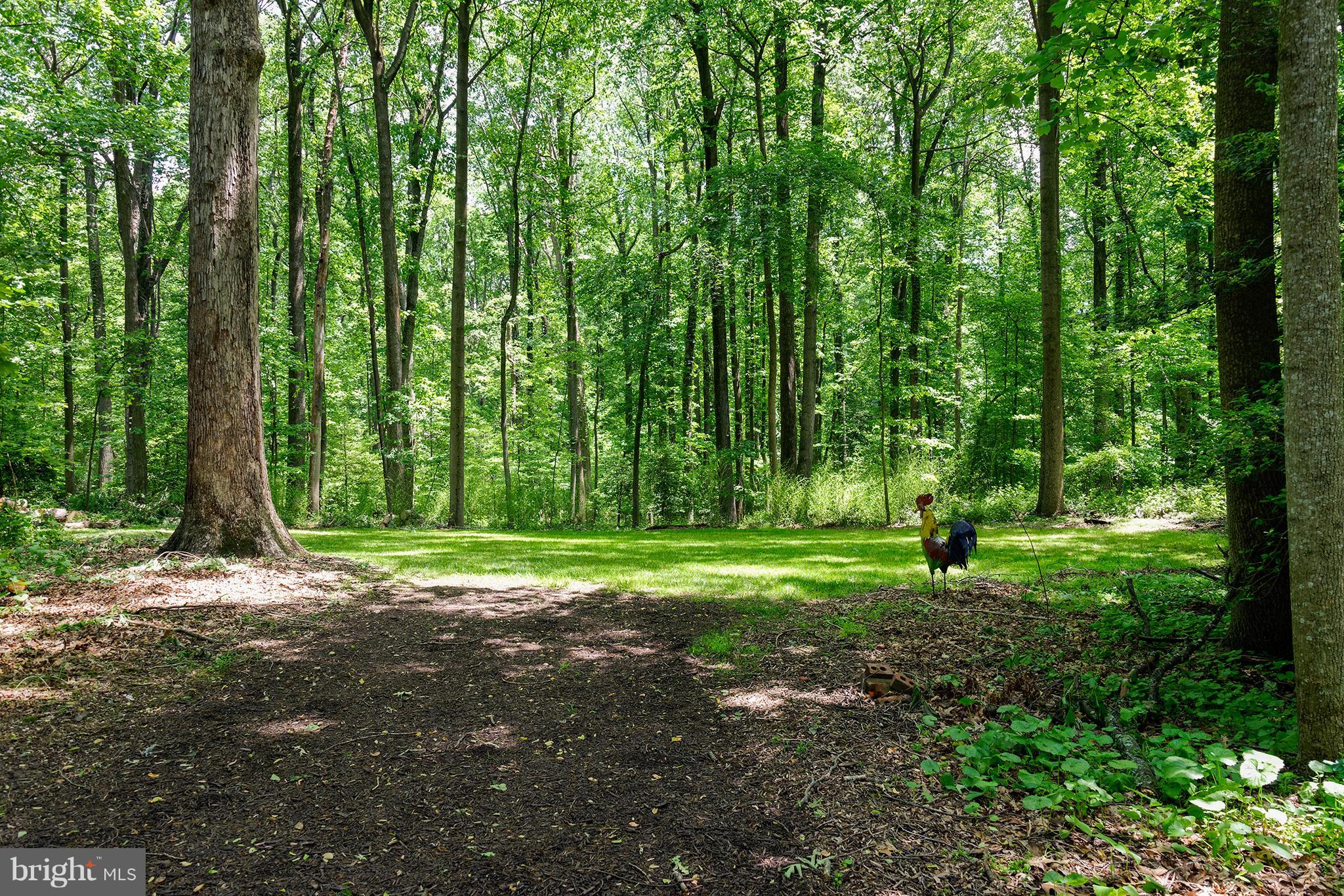 12010 Aintree Lane Reston, VA 20191 - Photo 26 of 28 1.3 acre lot - lawn and woods. Abuts parkland!