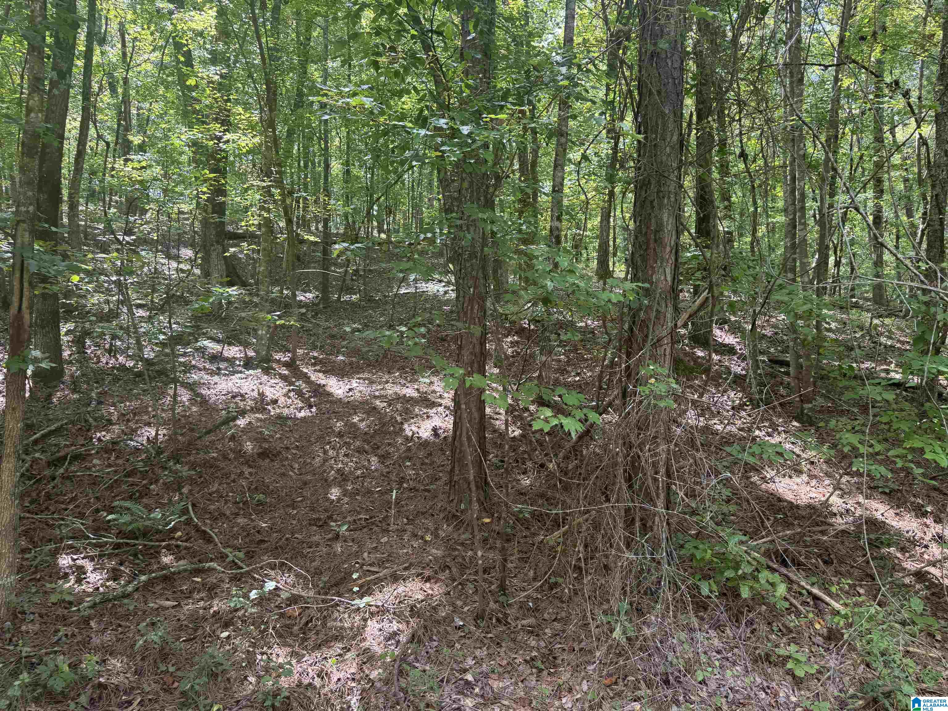 85 Mohawk Court, Unit 22 Ohatchee, AL 36271 - Photo 15 of 37