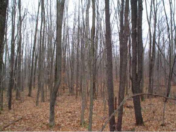- Clark Mtn Road Newport Town, VT 05857 - Photo 1 of 2