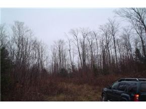 - Clark Mtn Road Newport Town, VT 05857 - Photo 2 of 2