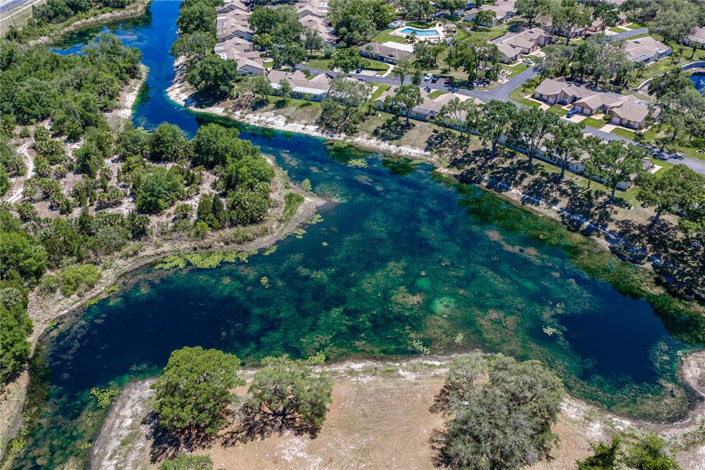 7435 Kilbride Court Weeki Wachee, FL 34613 - Photo 66 of 67