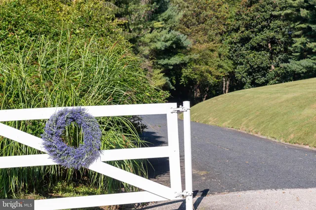 a view of backyard with green space