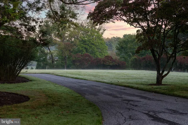 a view of a garden with a building
