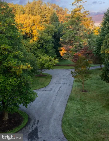 a big yard with lots of green space and trees