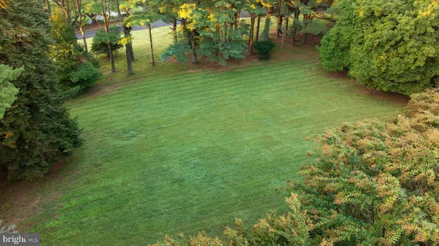 a green field with lots of trees in it