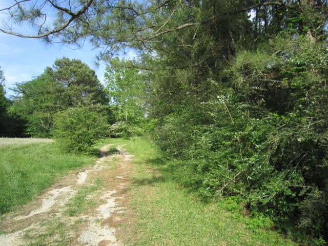 1528 North Pumping Station Road Ovett, MS 39464 - Photo 29 of 31 DRIVEWAY (2)