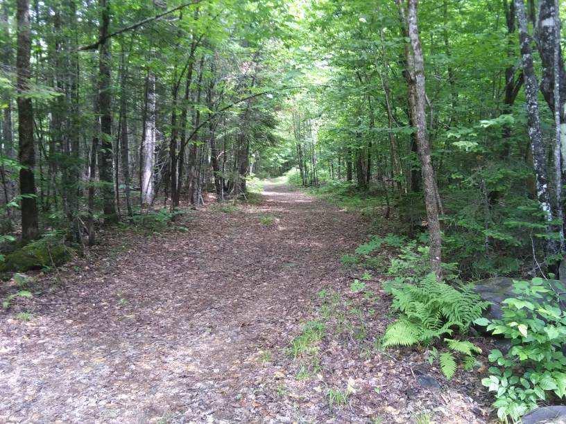 1661 Ludlow Road Houlton, ME 04730 - Photo 59 of 63 image00000065757