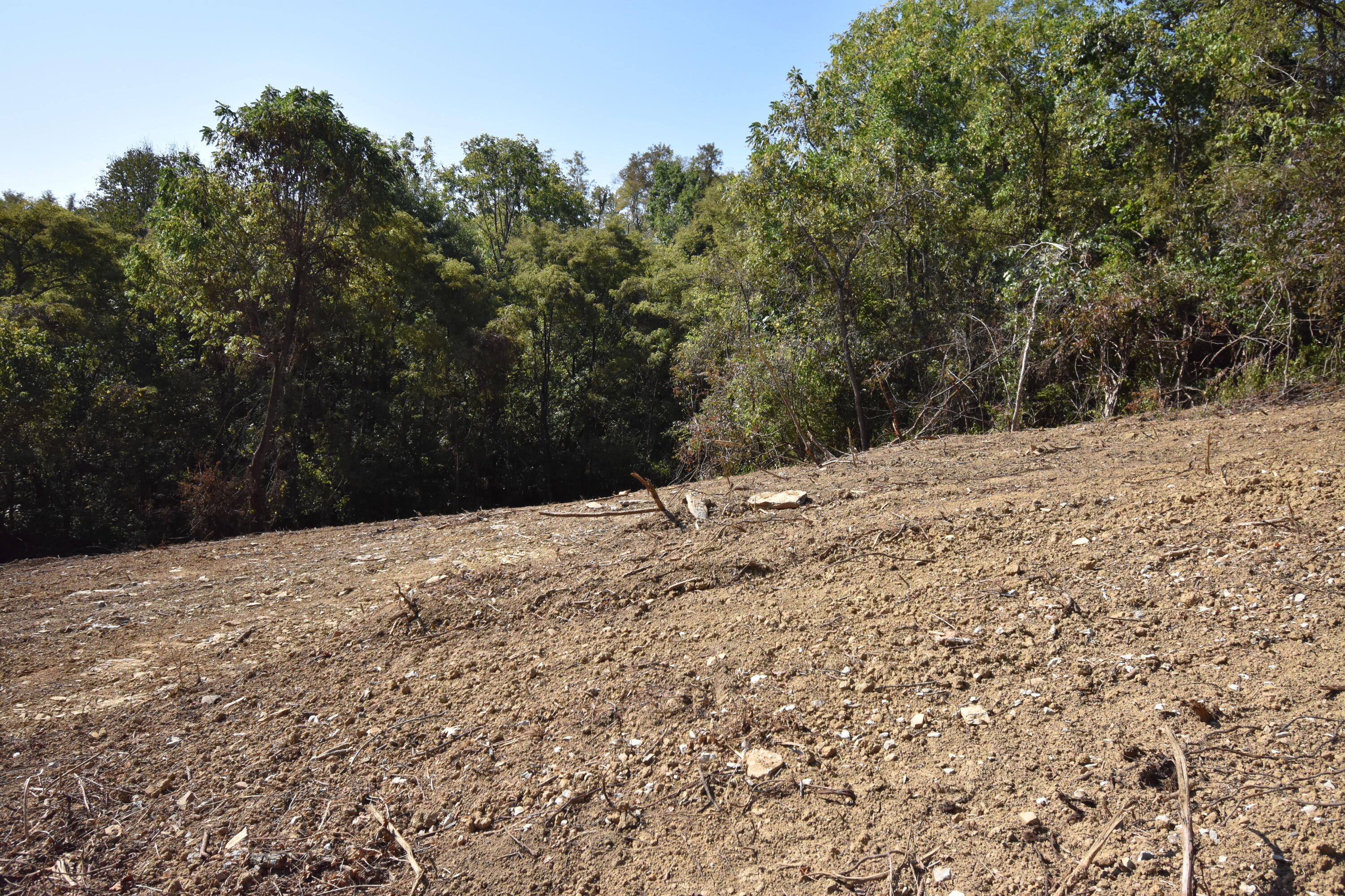 577 Whitlock Road Richmond, KY 40475 - Photo 18 of 29 DSC_0040
