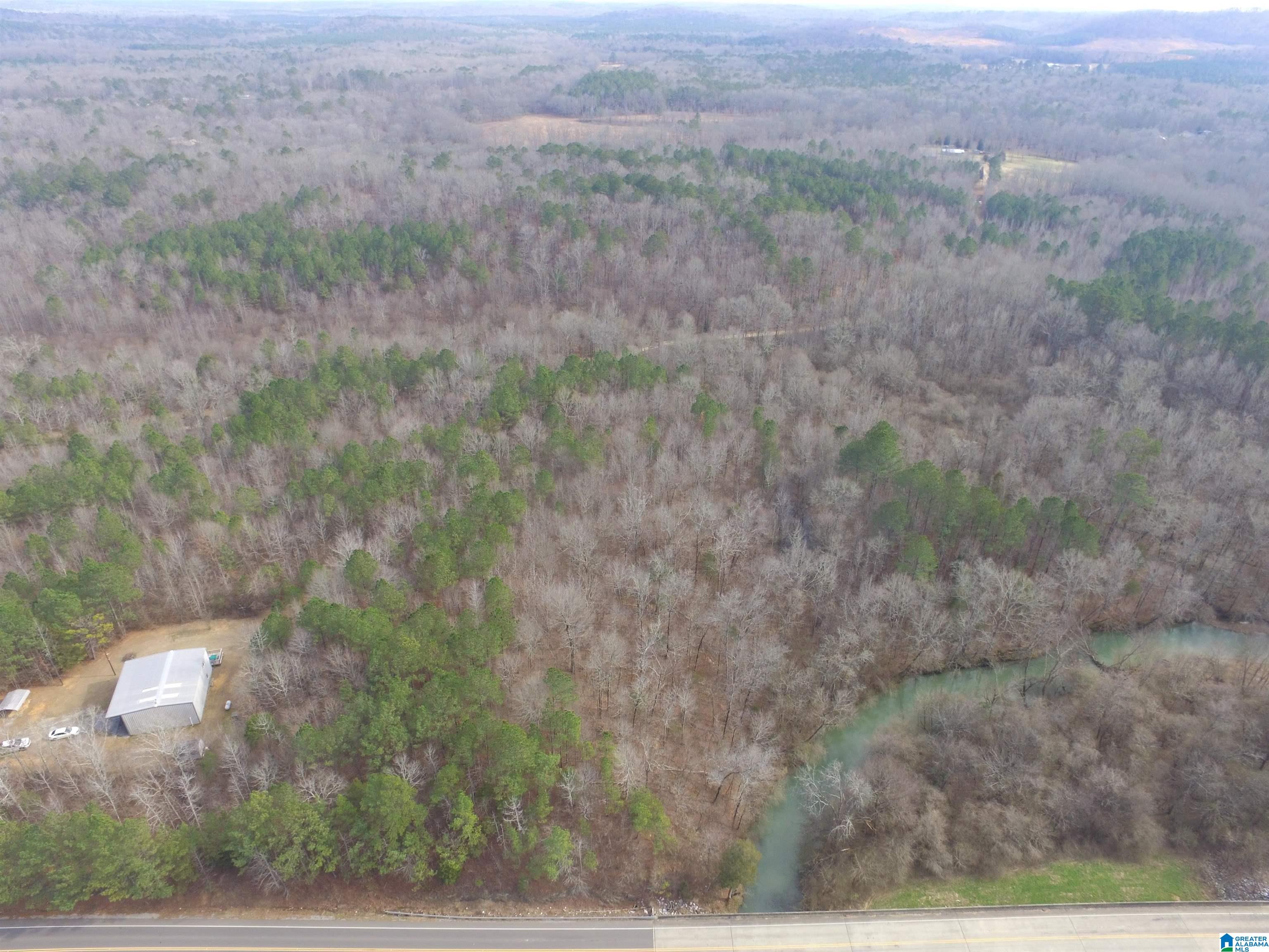 9764 Mudd Street Ohatchee, AL 36271 - Photo 7 of 28