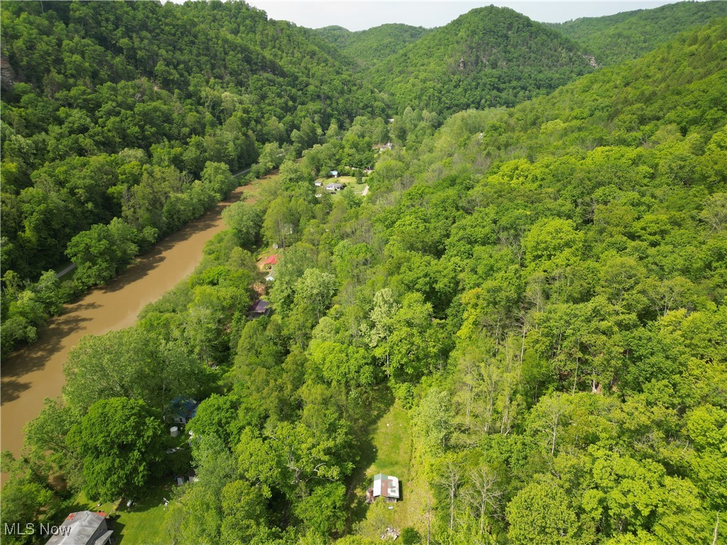 179 Little Beechy Ridge Road Procious, WV 25164 - Photo 12 of 17 Gallery Image 12