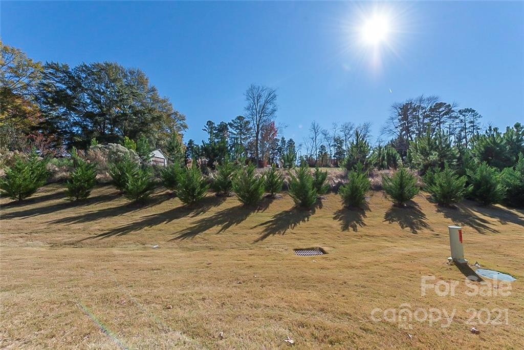 541 Dulaney Drive Fort Mill, SC 29708 - Photo 14 of 16 a view of a yard with a tree