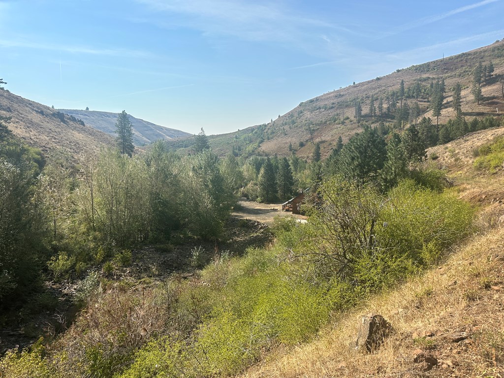 1420 Goodrich Creek Road Council, ID 83612 - Photo 11 of 12