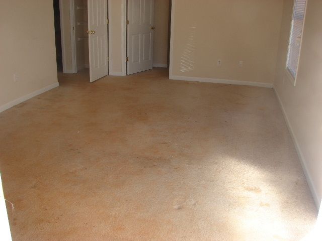 923 Black Snake Road Easley, SC 29640 - Photo 3 of 5