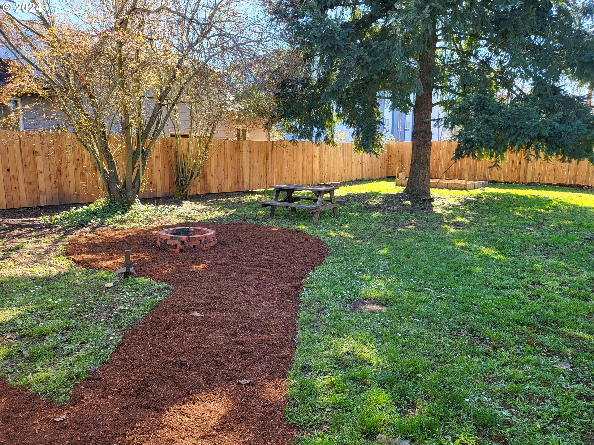1029 A Street Springfield, OR 97477 - Photo 23 of 27 a view of backyard with tree
