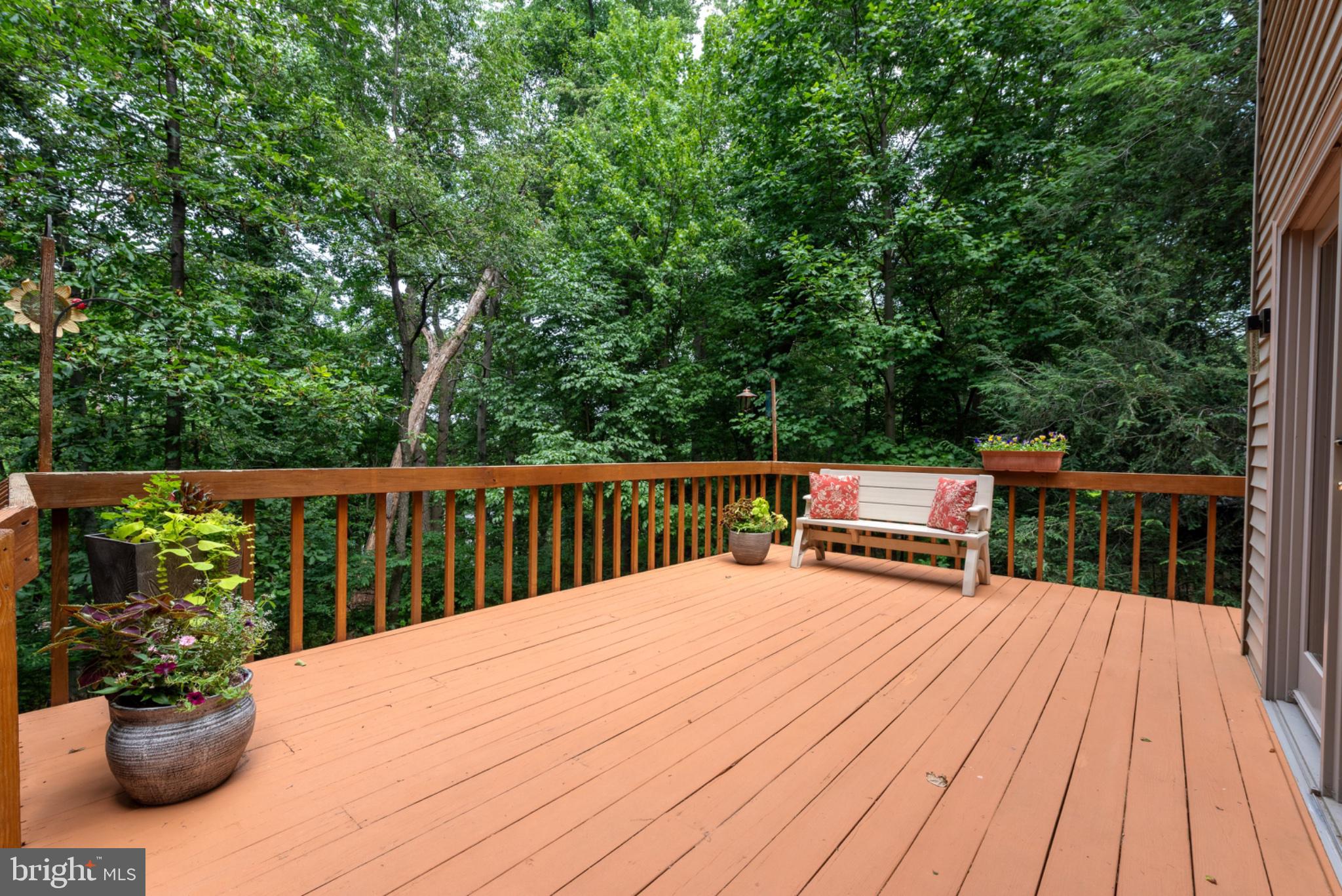 2861 Spring Valley Road Lancaster, PA 17601 - Photo 37 of 59 Serene deck nestled in lush greenery.