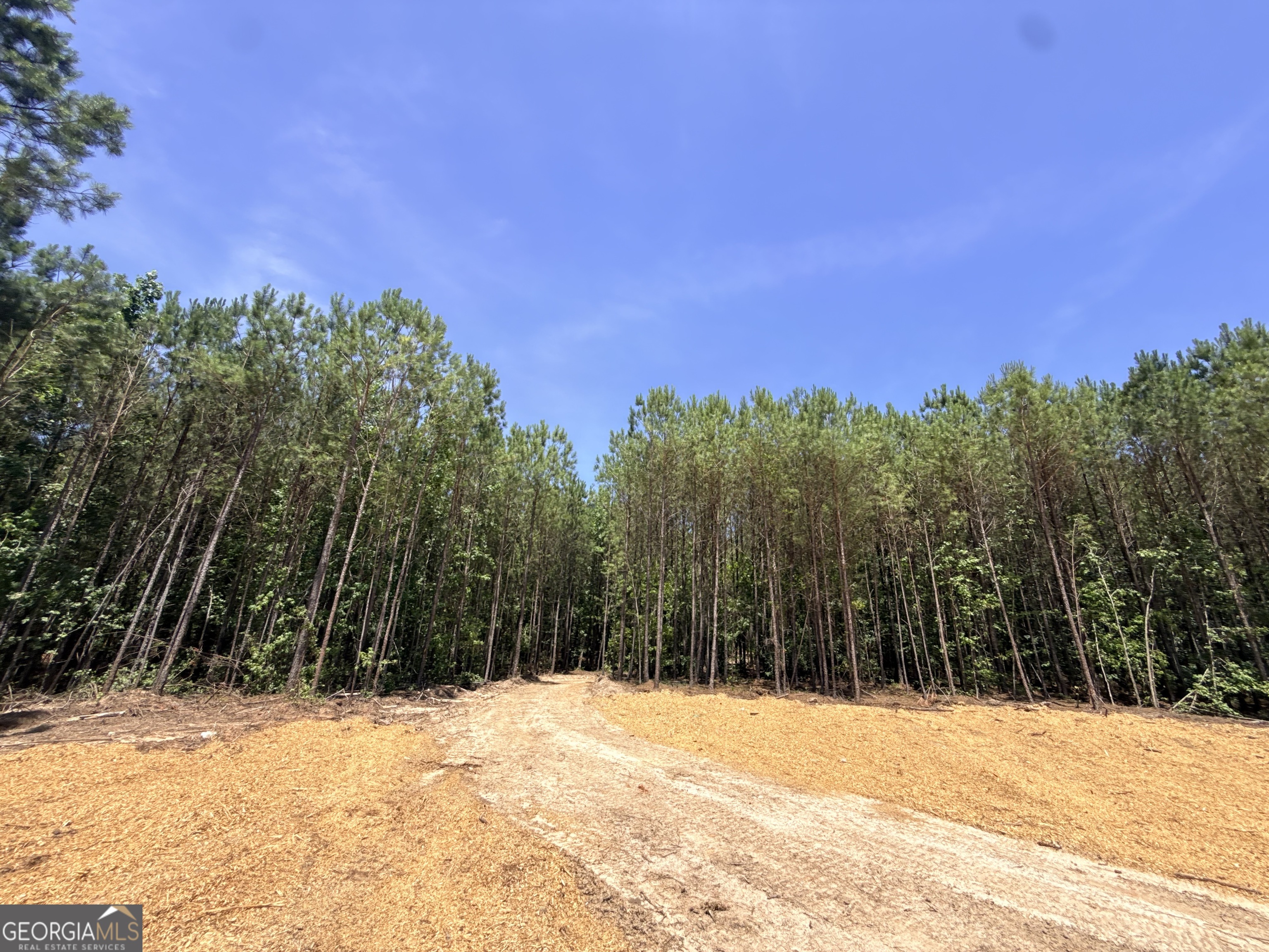 2787 Cedar Creek Road Elberton, GA 30635 - Photo 35 of 88