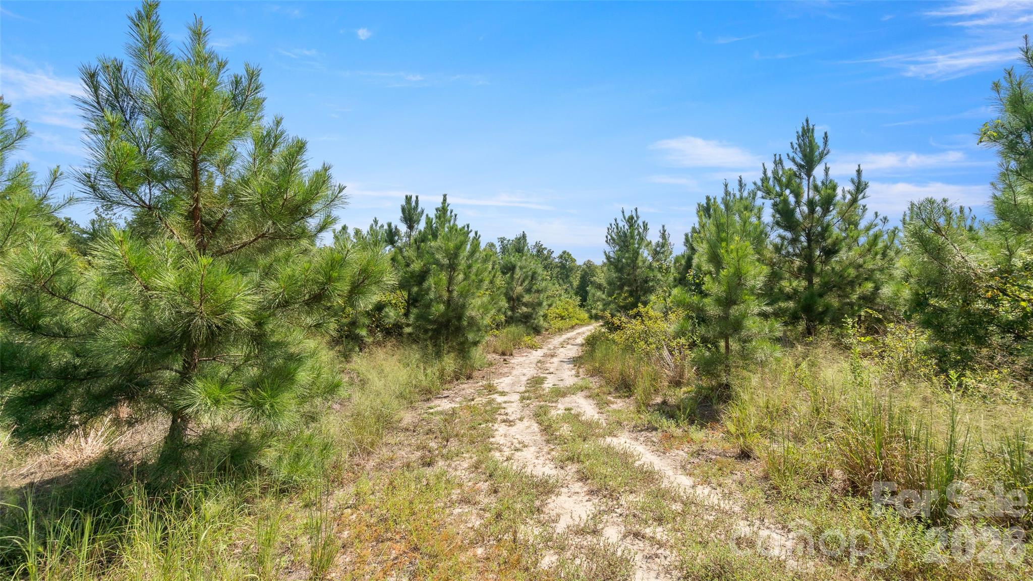 318 McFarlan Road Morven, NC 28119 - Photo 40 of 41 Gallery Image 40