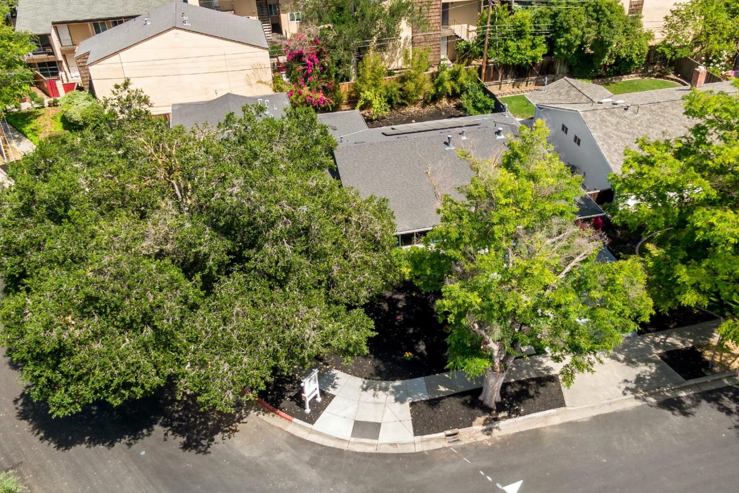 1502 Petersen Avenue San Jose, CA 95129 - Photo 55 of 56 a view of a garden with plants