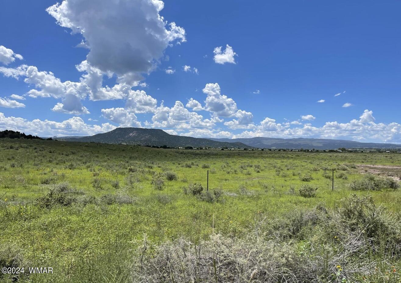 1 St Springerville Az 85938 Springerville, AZ 85938 - Photo 2 of 6