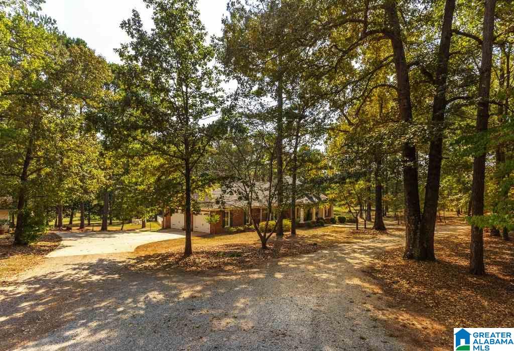 1249 Stockdale Road Munford, AL 36268 - Photo 7 of 50