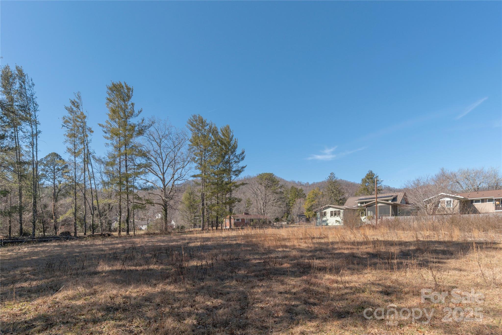 22 Willowbrook Road Asheville, NC 28805 - Photo 4 of 10