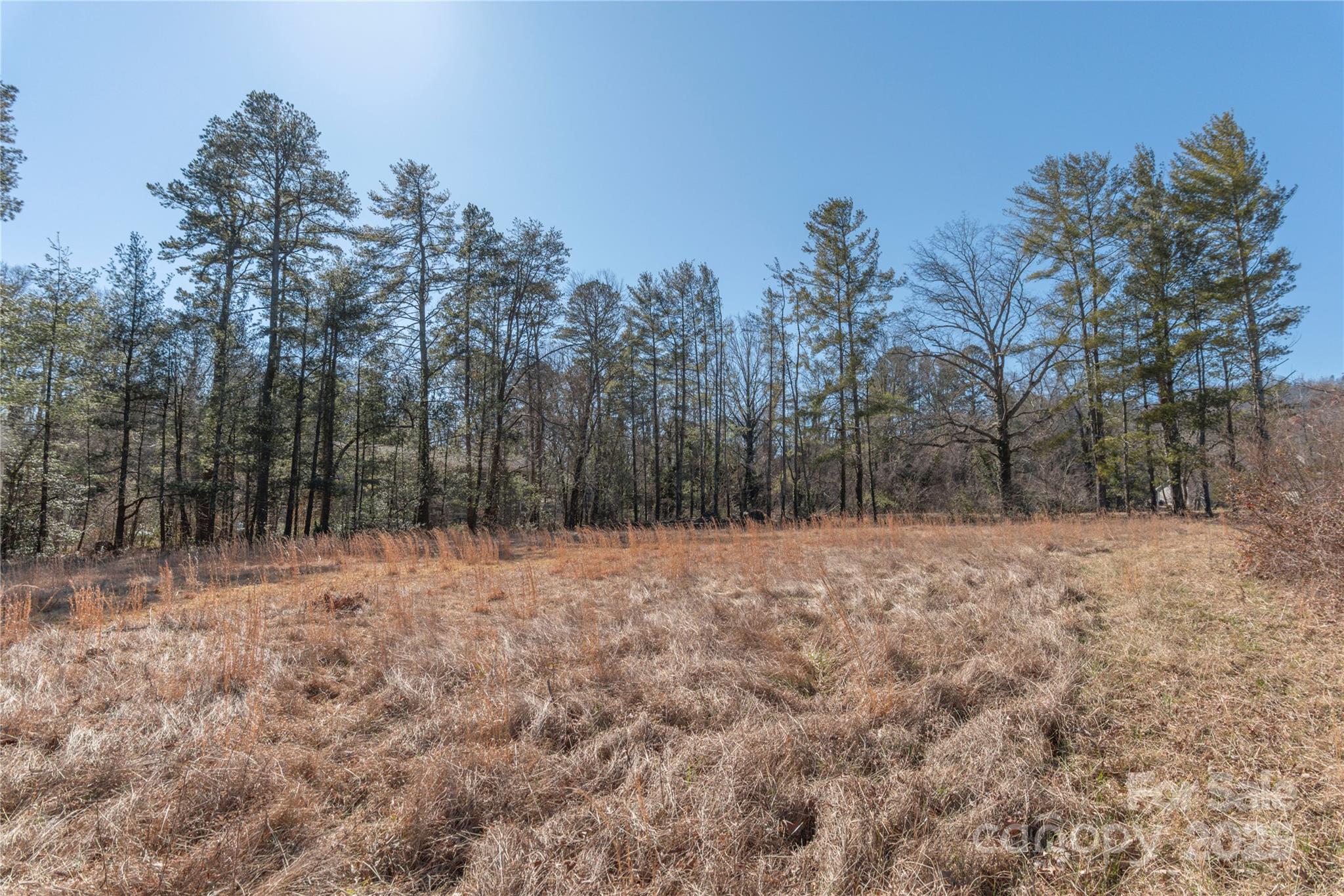 22 Willowbrook Road Asheville, NC 28805 - Photo 5 of 10