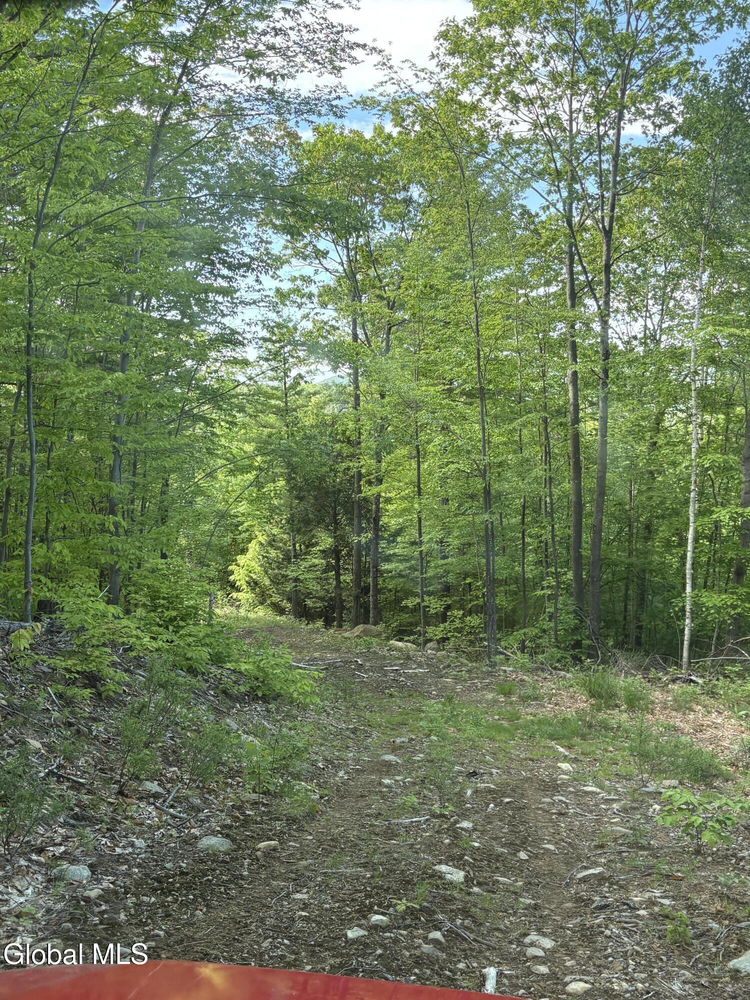 158 Cheney Road Port Henry, NY 12974 - Photo 21 of 55 IMG_9205