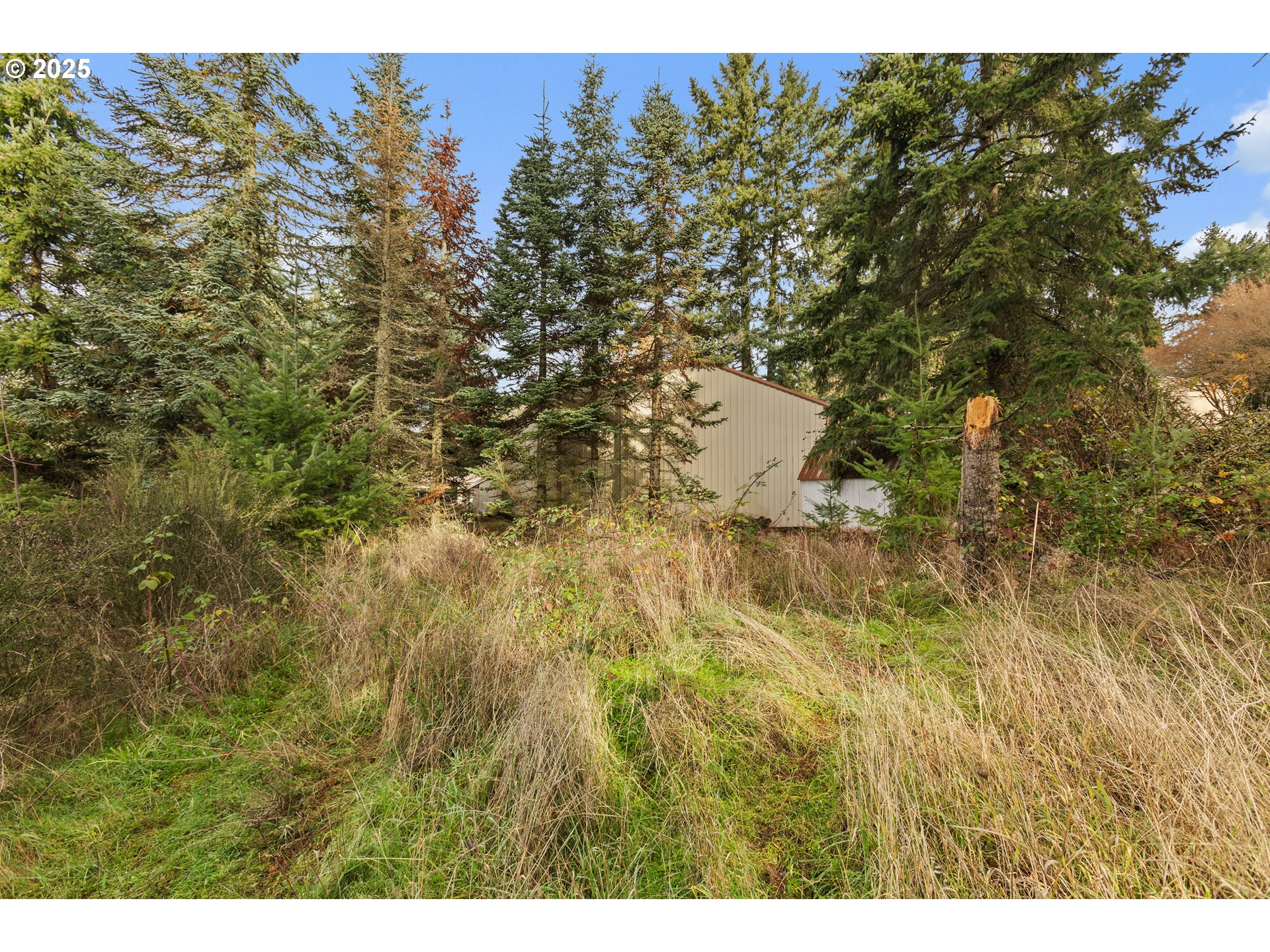 1782 Cole Road South Salem, OR 97306 - Photo 35 of 43 a view of a yard