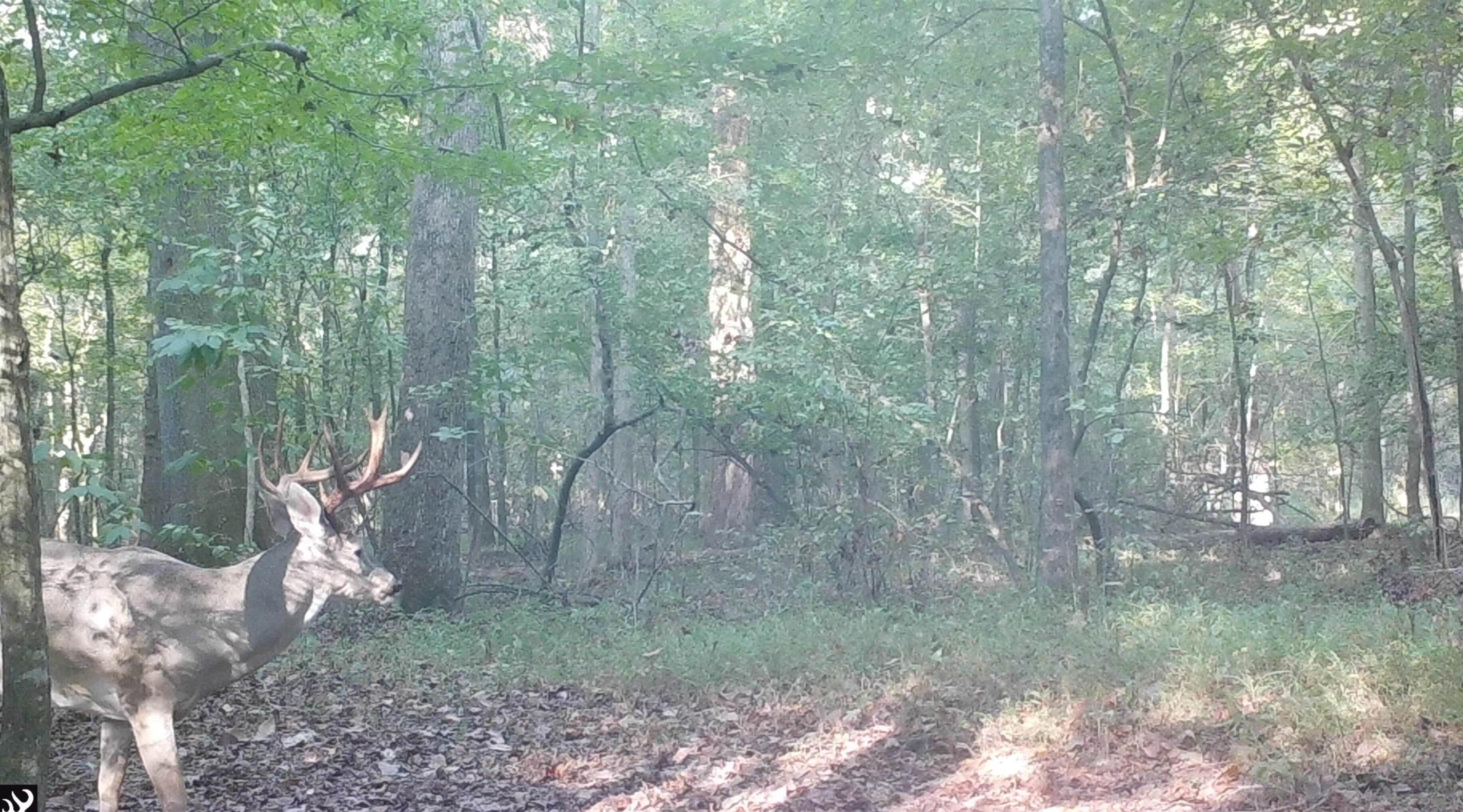 1690 Austin Springs Road Dukedom, TN 38226 - Photo 17 of 17 Photo 17