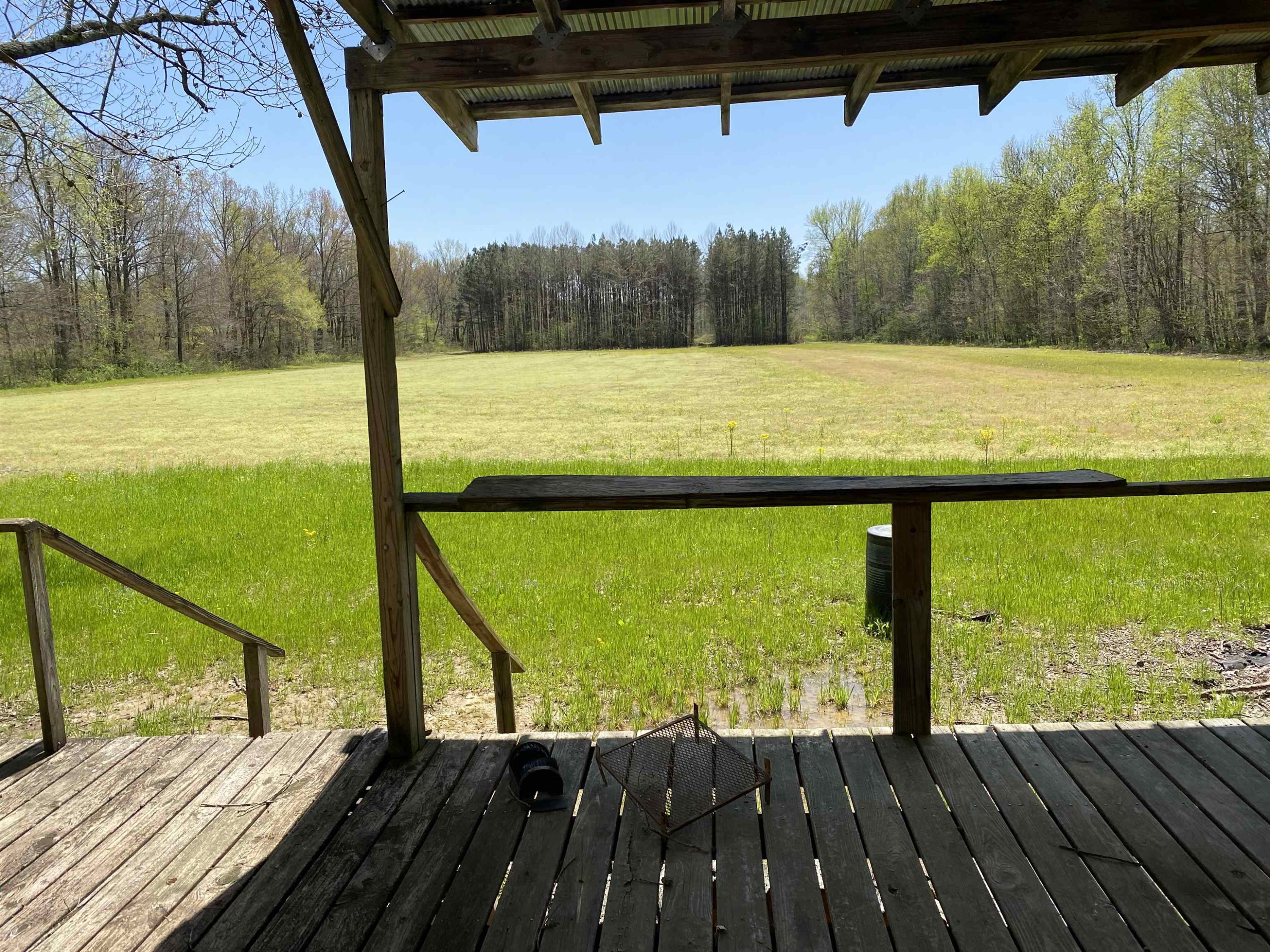 1690 Austin Springs Road Dukedom, TN 38226 - Photo 4 of 17 Photo 4
