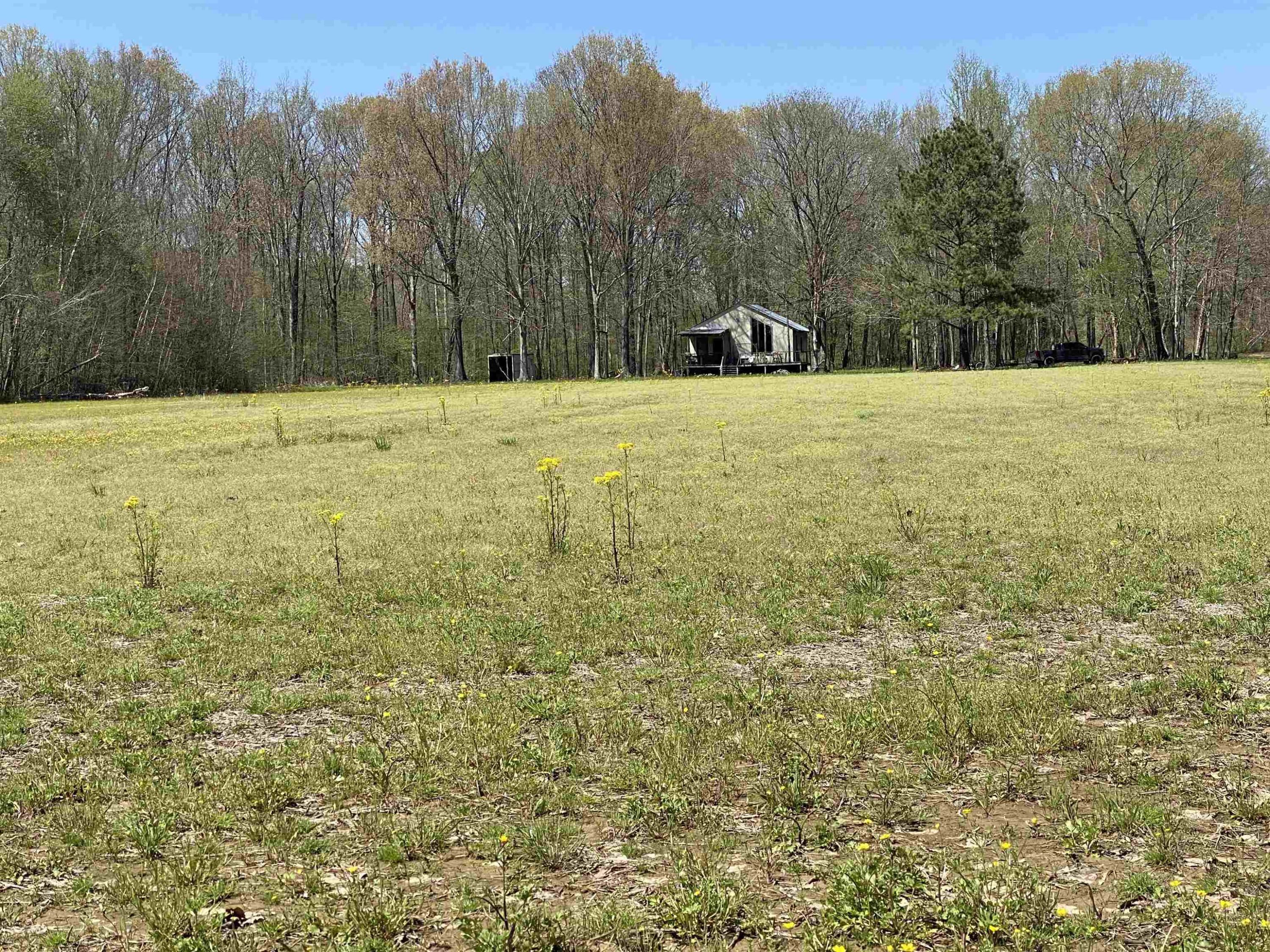 1690 Austin Springs Road Dukedom, TN 38226 - Photo 5 of 17 Photo 5