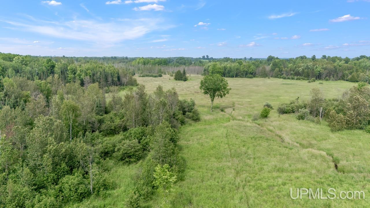 Tbd Tbd Delta Menominee C Road Bark River, MI 49807 - Photo 9 of 13