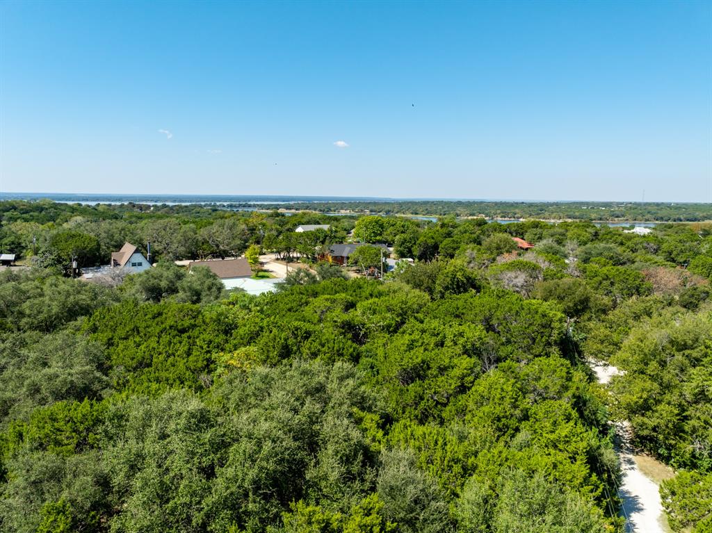 Tbd Palamino Loop Whitney, TX 76692 - Photo 13 of 18 a view of a large garden with lots of trees