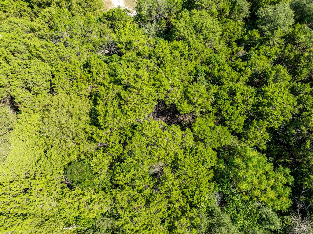 Tbd Palamino Loop Whitney, TX 76692 - Photo 15 of 18 a view of a lush green field