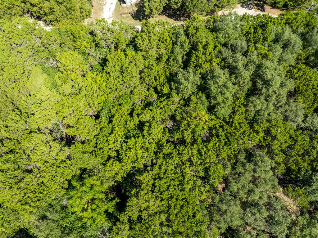 Tbd Palamino Loop Whitney, TX 76692 - Photo 16 of 18 a view of a lush green forest