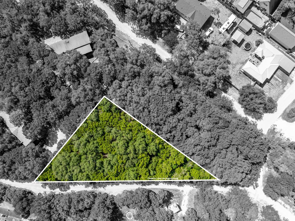 Tbd Palamino Loop Whitney, TX 76692 - Photo 17 of 18 a view of a yard with a trees