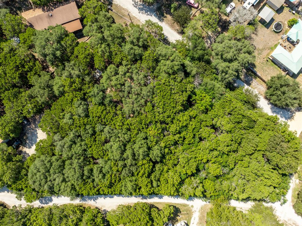Tbd Palamino Loop Whitney, TX 76692 - Photo 6 of 18 a view of a house with a tree