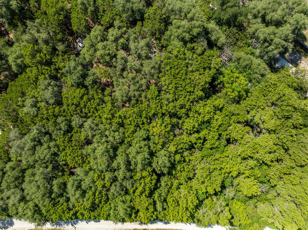 Tbd Palamino Loop Whitney, TX 76692 - Photo 7 of 18 an outdoor view of a yard