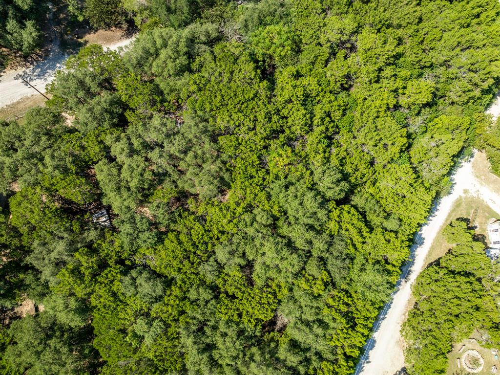 Tbd Palamino Loop Whitney, TX 76692 - Photo 8 of 18 a view of a lush green forest with a tree