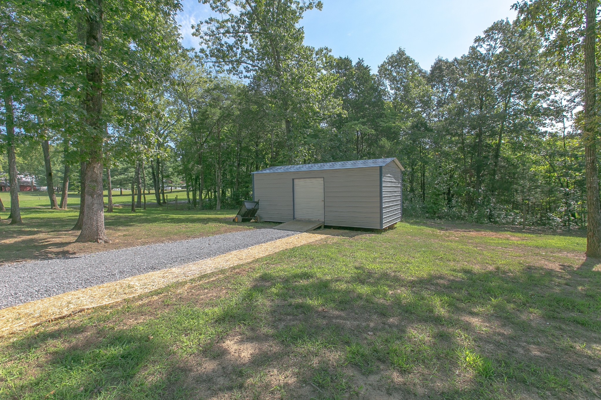 8798 Link Road Christiana, TN 37037 - Photo 5 of 32 a backyard of a house with trees and outdoor space