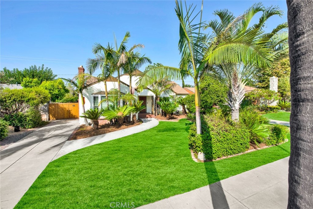 a view of a yard with flower plants