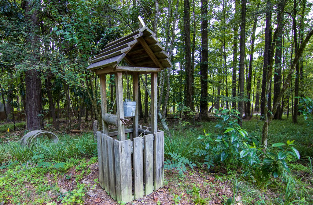 755 Mountain Brook Road Fortson, GA 31808 - Photo 30 of 46 Gallery Image 30