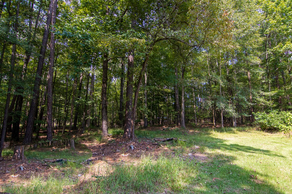 755 Mountain Brook Road Fortson, GA 31808 - Photo 31 of 46 Gallery Image 31