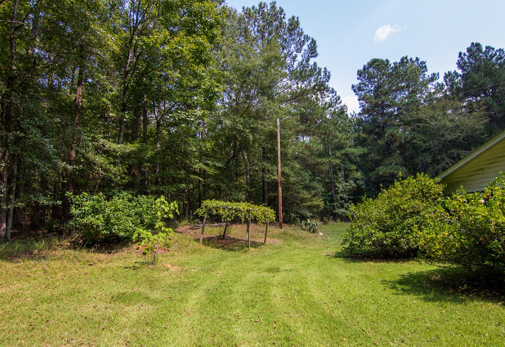 755 Mountain Brook Road Fortson, GA 31808 - Photo 32 of 46 Gallery Image 32