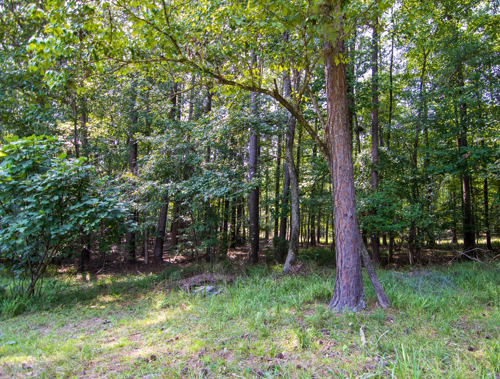 755 Mountain Brook Road Fortson, GA 31808 - Photo 33 of 46 Gallery Image 33