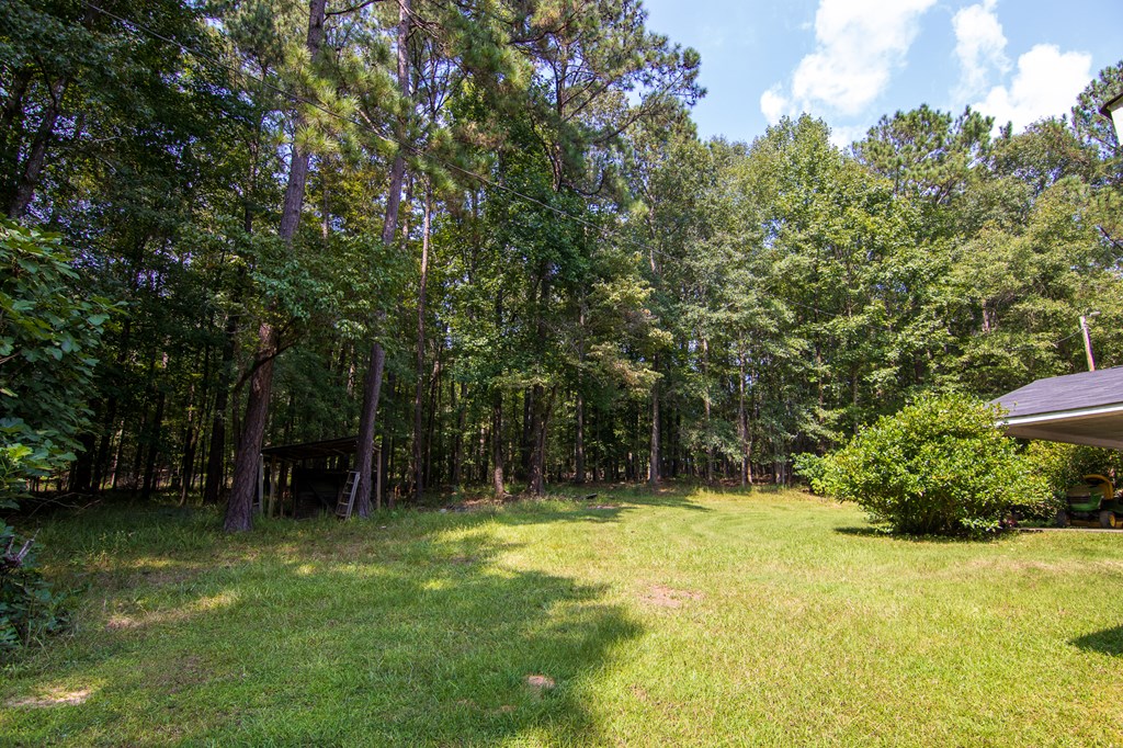 755 Mountain Brook Road Fortson, GA 31808 - Photo 35 of 46 Gallery Image 35