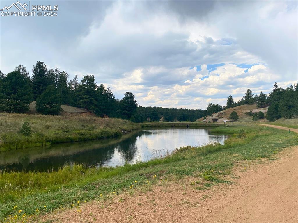 60 Pickens Road Florissant, CO 80816 - Photo 13 of 15 a view of a lake from a yard