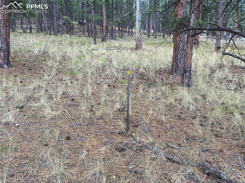 60 Pickens Road Florissant, CO 80816 - Photo 2 of 15 a backyard of a house