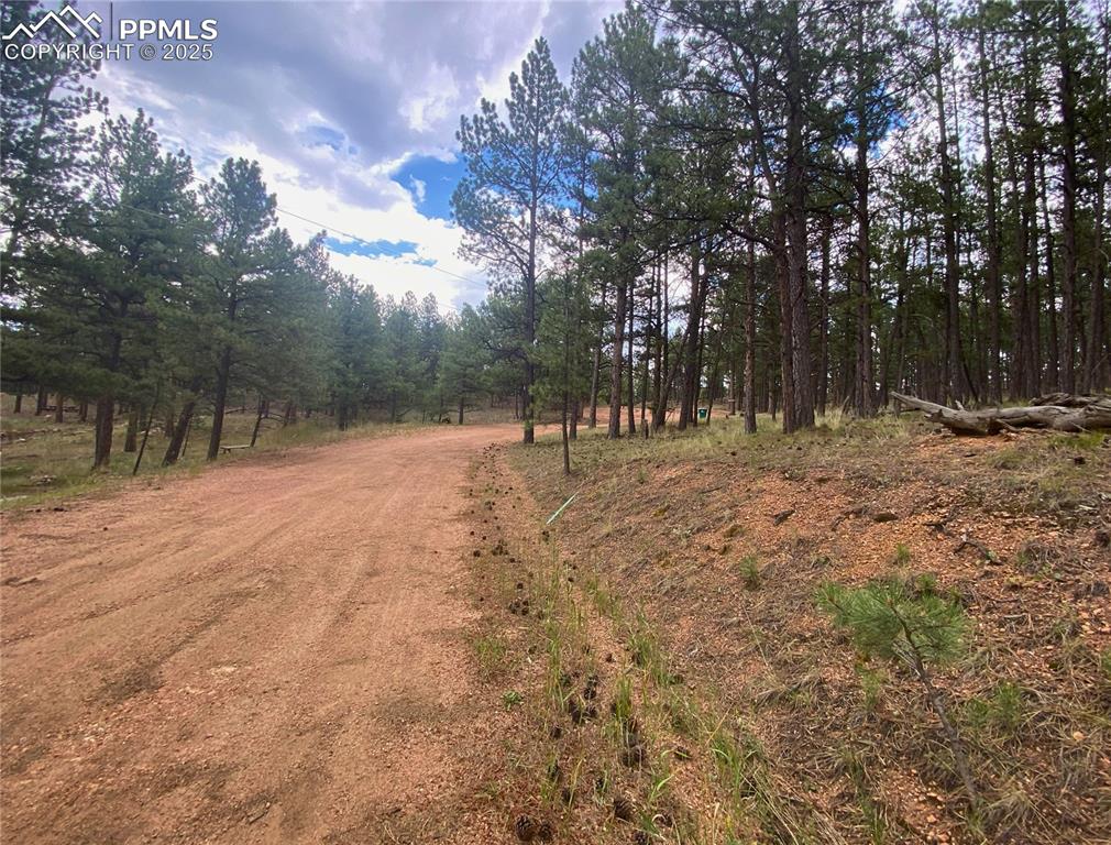 60 Pickens Road Florissant, CO 80816 - Photo 9 of 15 a view of outdoor space with trees all around